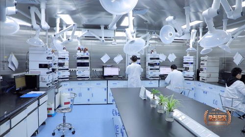六元環三劍客 二十年死磕分子砌塊，讓中國技術嵌入全球藥脈