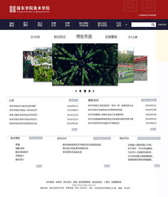 網站與網頁設計 構建數字時代的視覺與功能橋梁